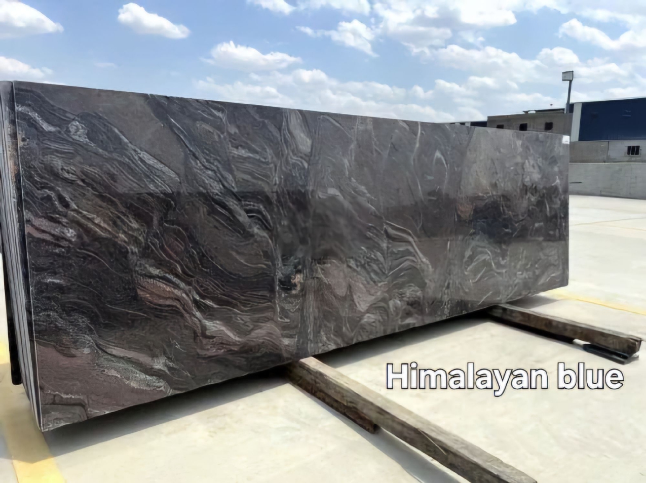 Himalayan Blue