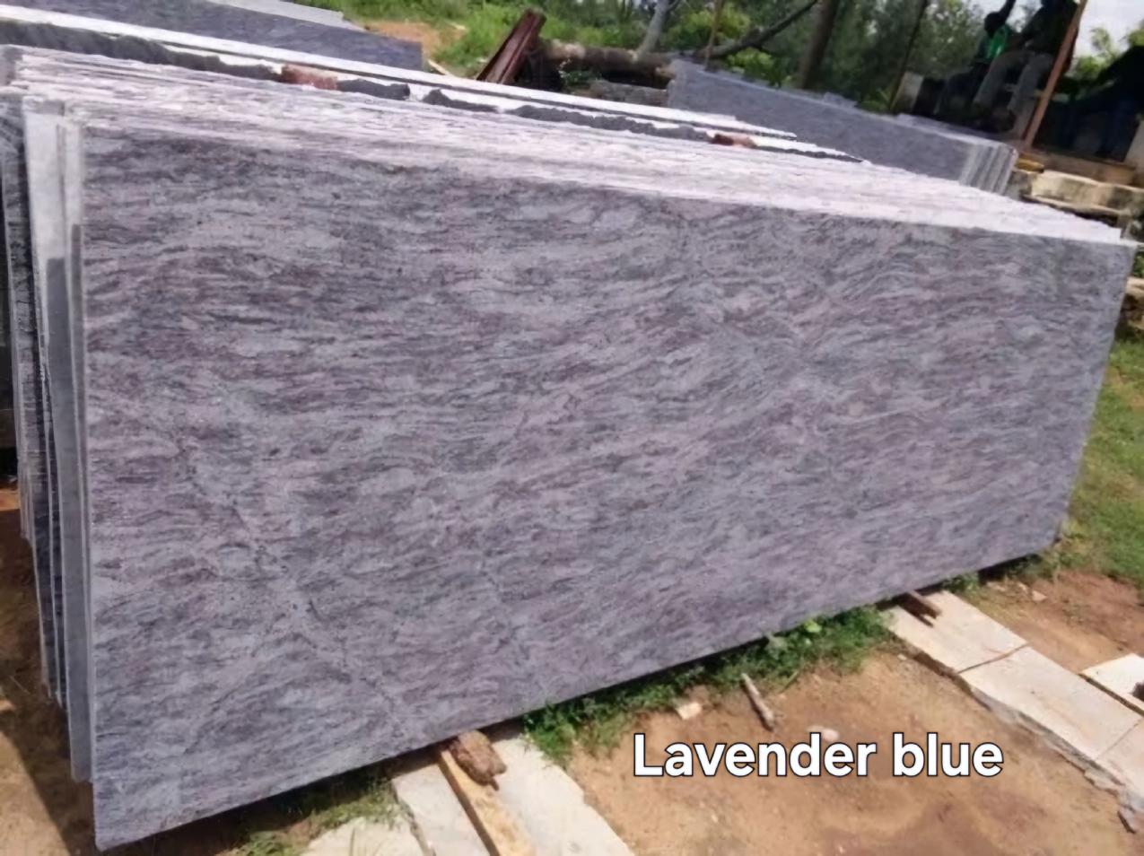 LavenderBlue